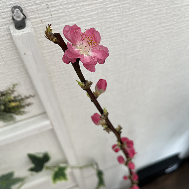 R.S.Kさんの実例写真