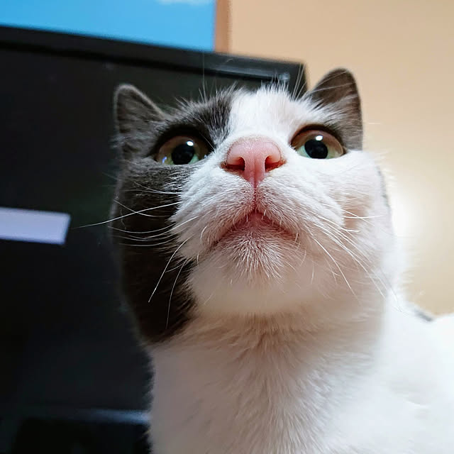 kiyohima229さんの実例写真
