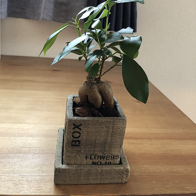 kaorinさんの実例写真