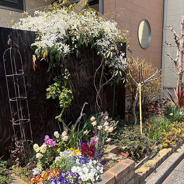 greycatsさんの実例写真