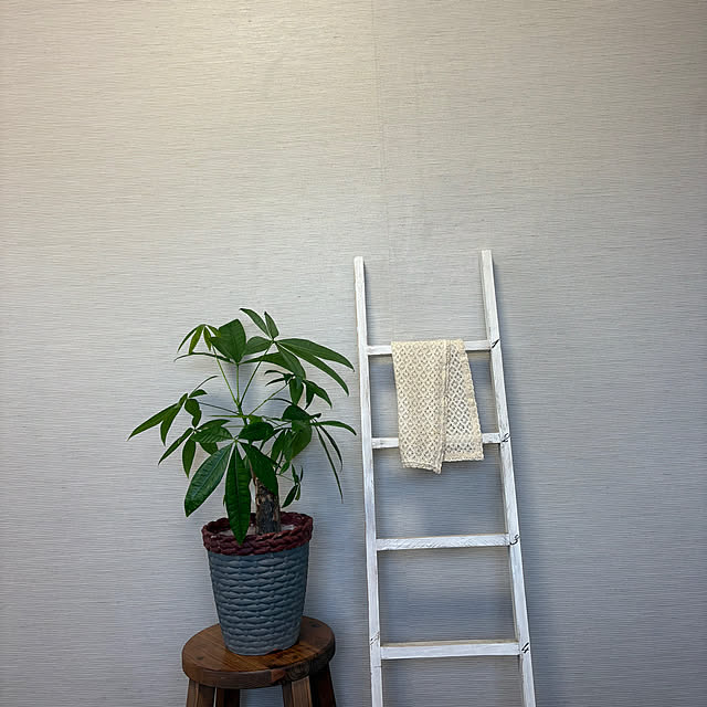 Fumiさんの実例写真