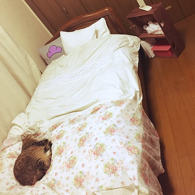 meixiaoさんの実例写真