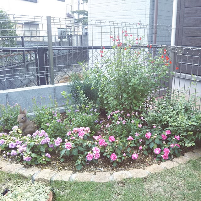 maamiさんの実例写真