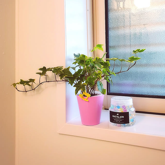 cherrycherryさんの実例写真