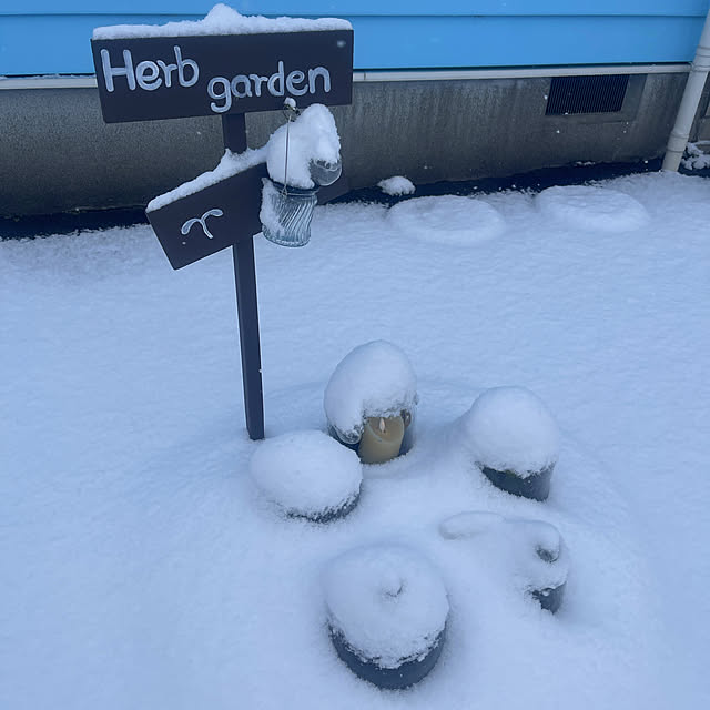 Ohigeさんの実例写真