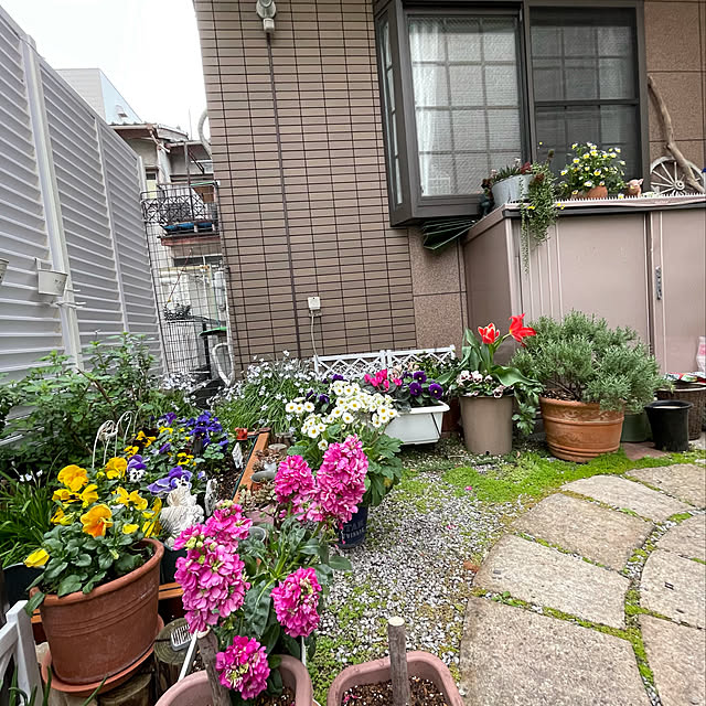 puriyuzuさんの実例写真