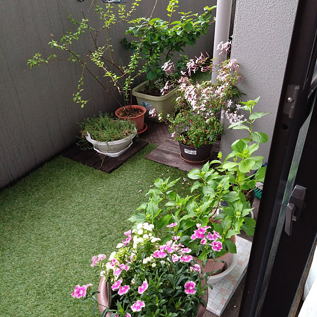 kakkaさんの実例写真