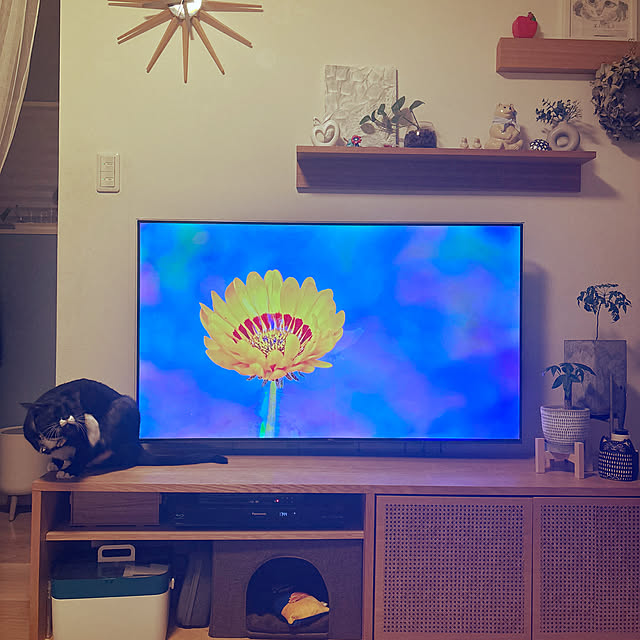 masamasaさんの実例写真