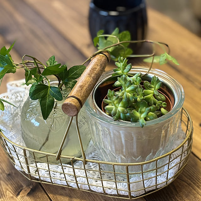 canetteさんの部屋