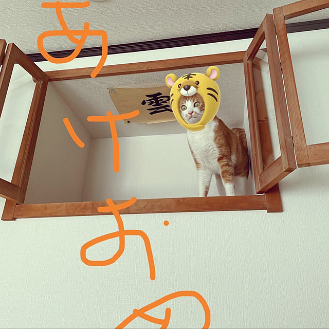 jurikenさんの実例写真