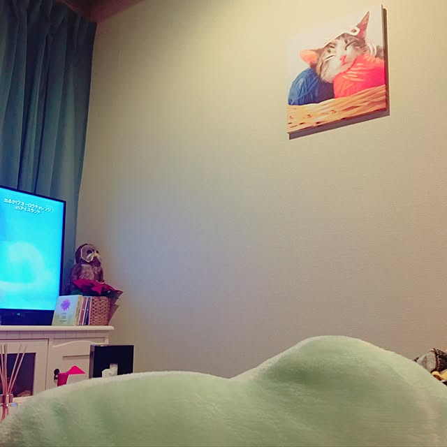 実例写真