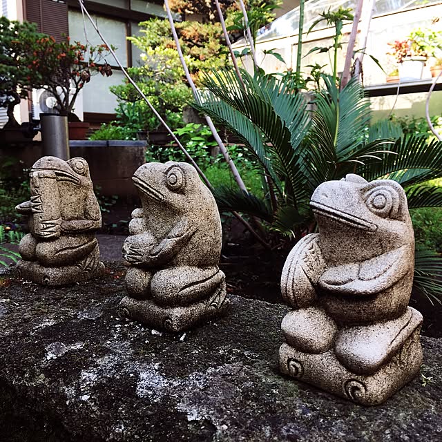 ichiさんの実例写真