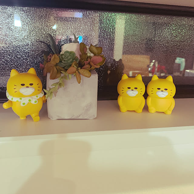 szkdyさんの実例写真