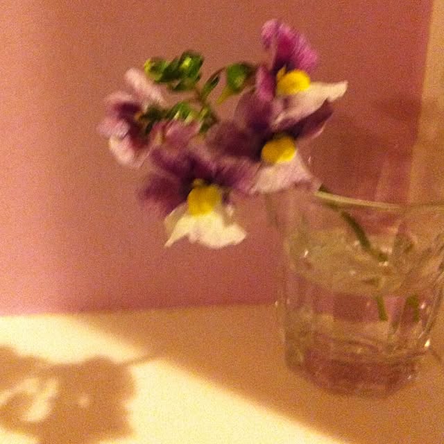 Mrsrerereさんの実例写真