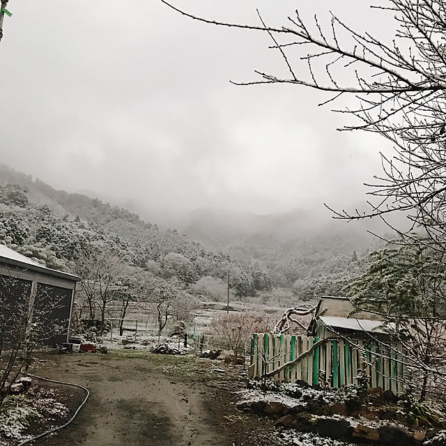 ベッド周り/インスタ→pepe_garden/石積みのある庭/犬小屋DIY/なぜか家にグラウンドがある...などのインテリア実例 - 2018-12-28 06:57:15