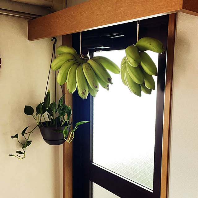 yosoyrikapeiさんの実例写真