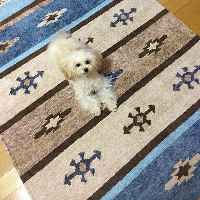 Feluzさんの実例写真