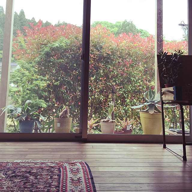 実例写真