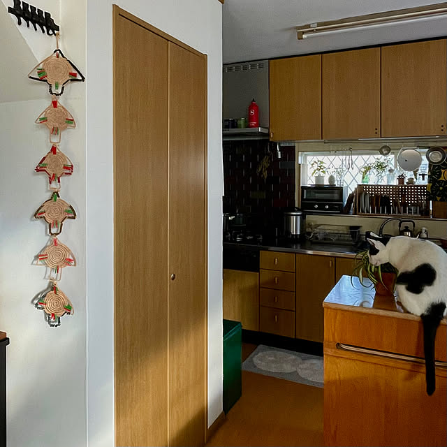 nobikoさんの部屋