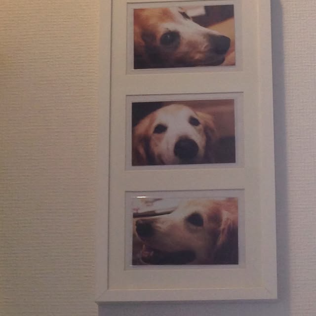 mahinaさんの実例写真