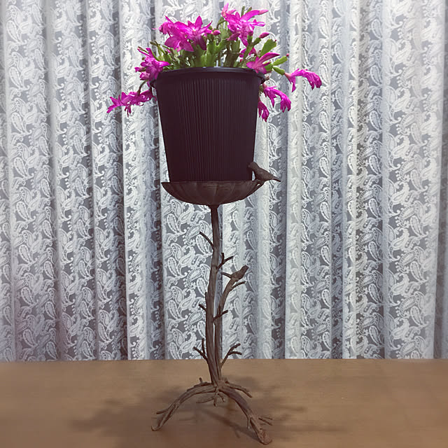 AOIさんの実例写真