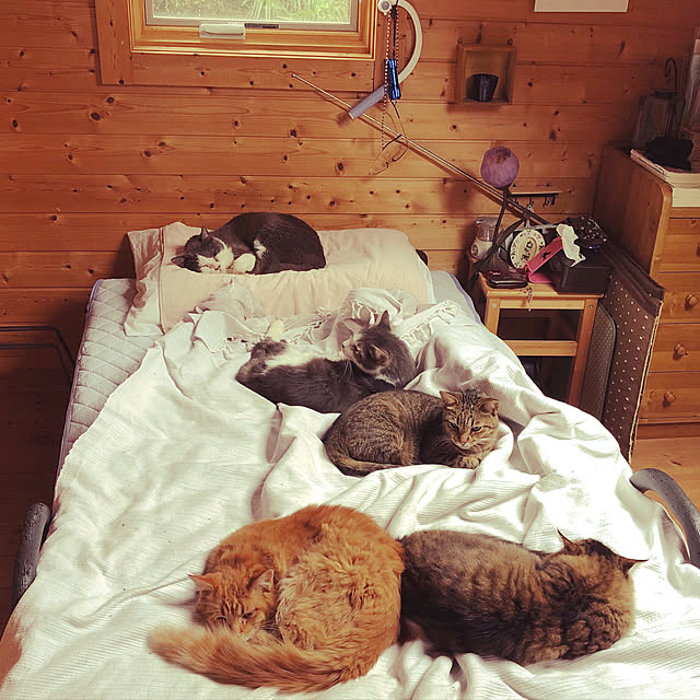Maki-nekomamireさんの実例写真