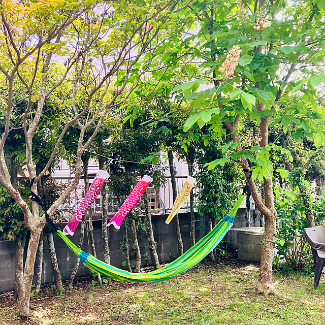 tomorinさんの部屋