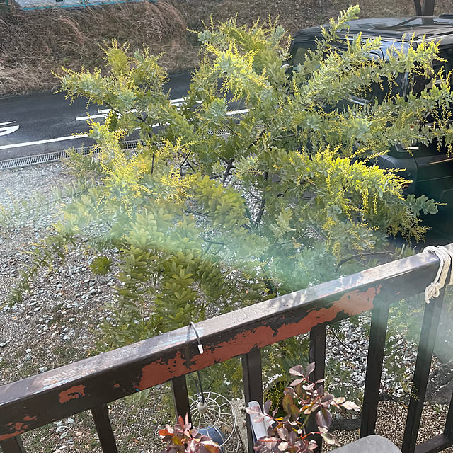 shin0719さんの部屋