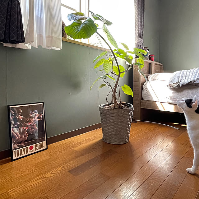 nobikoさんの部屋