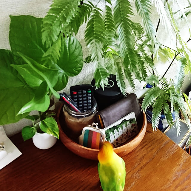 s.p.sunaoさんの実例写真