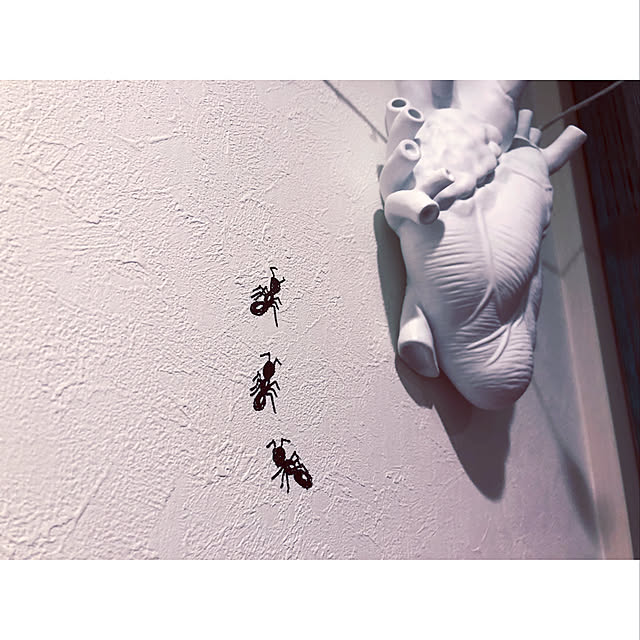 municoさんの実例写真