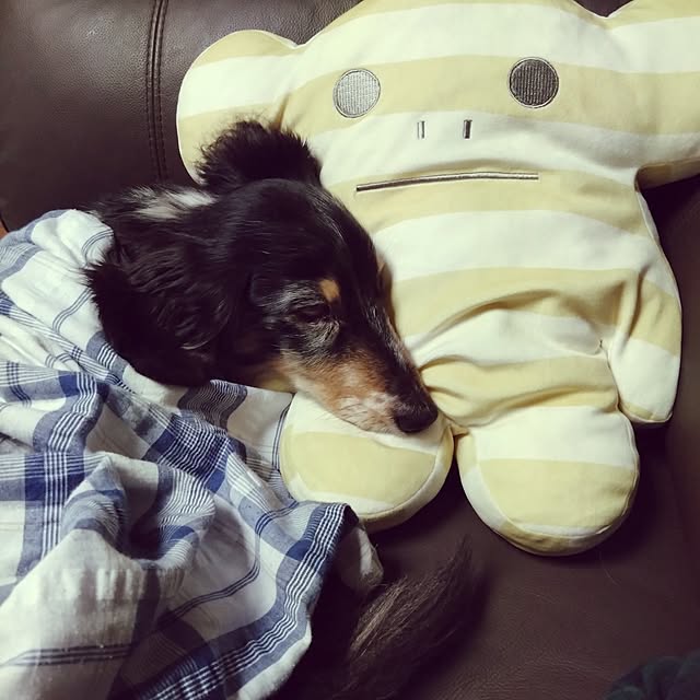 taiyoさんの実例写真