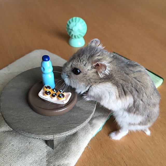 hamtaさんの実例写真