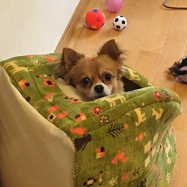 chapepoさんの実例写真