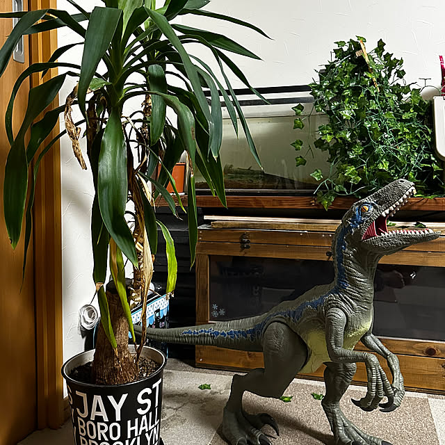 Mochikoさんの実例写真