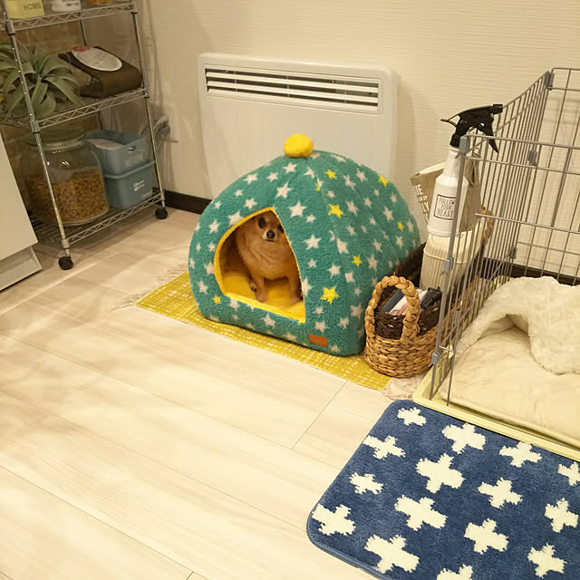 kojikojiさんの実例写真