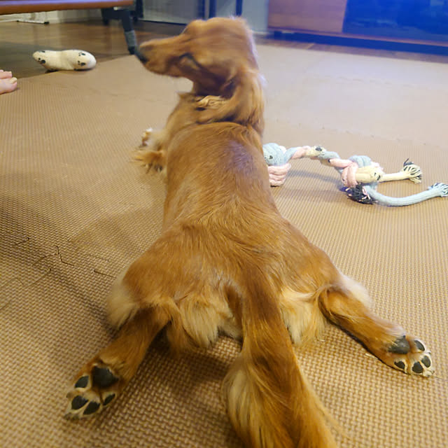 ponchanさんの実例写真