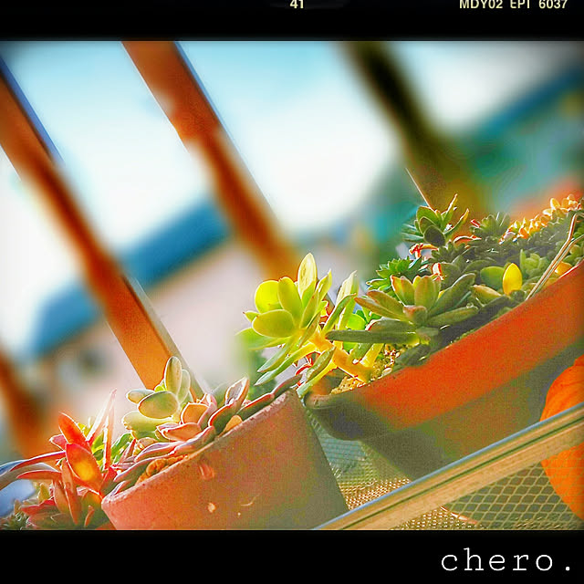 chero.さんの実例写真