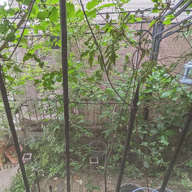 mori_6_12さんの部屋