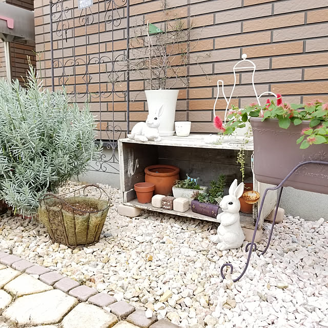 miiさんの実例写真