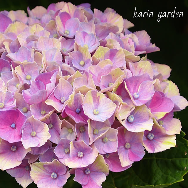 karinさんの実例写真