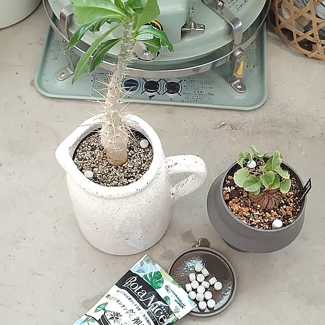 t.yumiさんの部屋