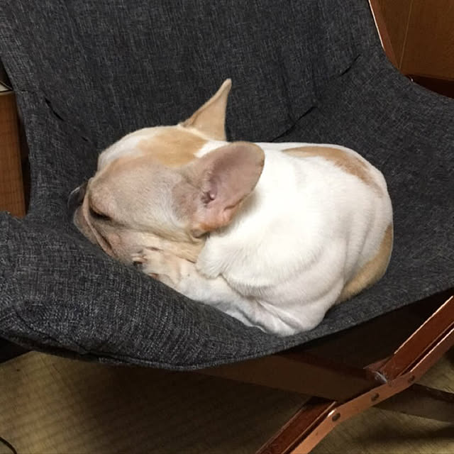 LOCO820173019さんの実例写真