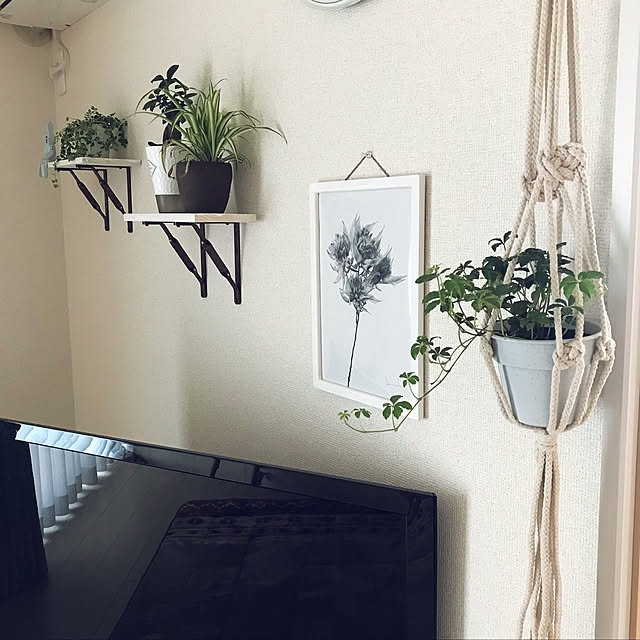 umeboshi08さんの実例写真