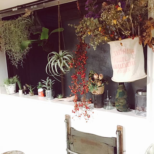 壁/天井/ドライフラワー/観葉植物のインテリア実例 - 2017-06-27 23:48:29