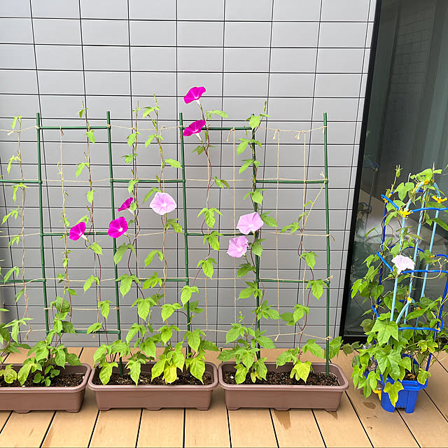 take_nokoさんの部屋