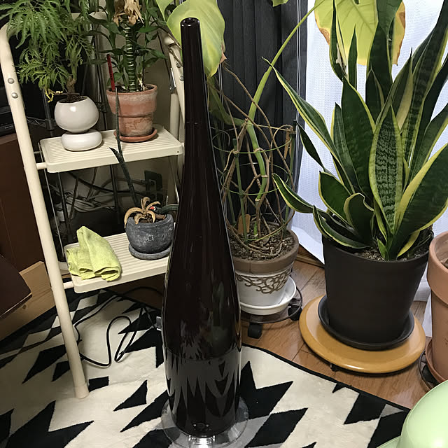 leonさんの実例写真