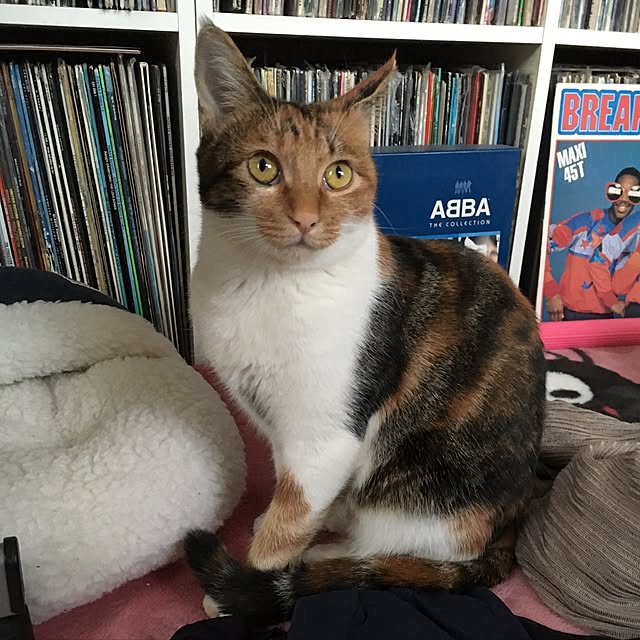 miyabiさんの実例写真