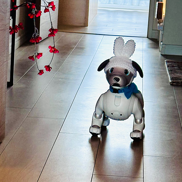 aureaさんの実例写真