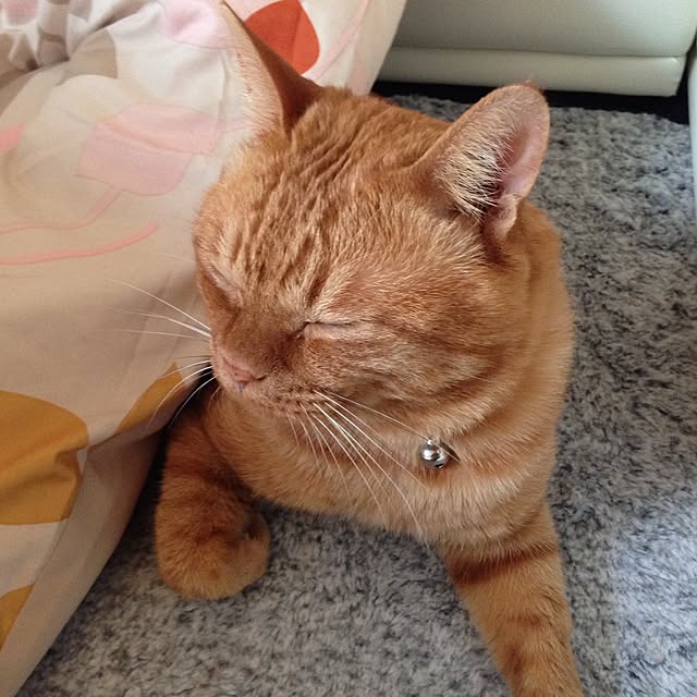 manaさんの実例写真